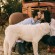 Austin Engagement Session