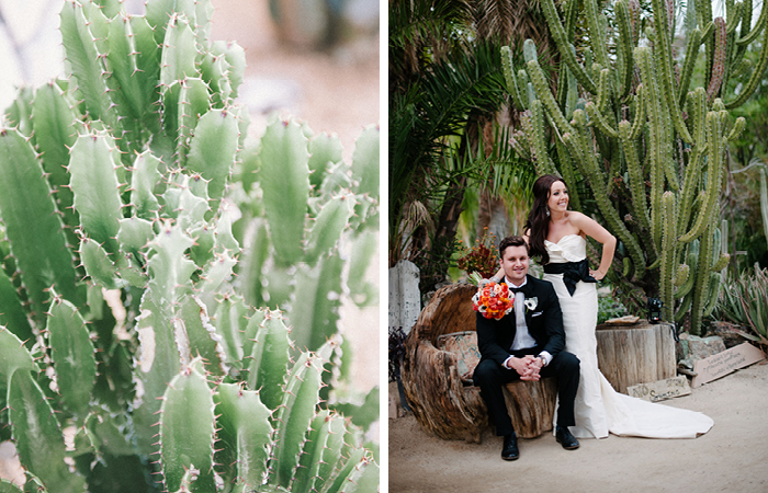 Dorland Robbins Wedding11