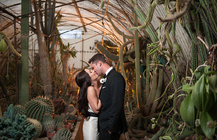 Dorland Robbins Wedding12