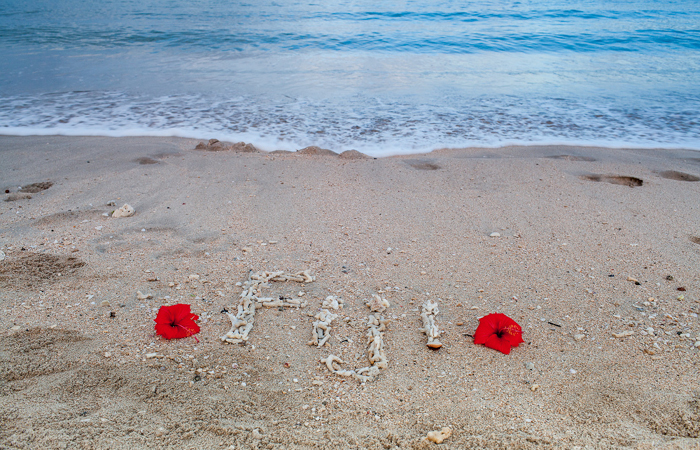 Tropical Fiji Wedding2