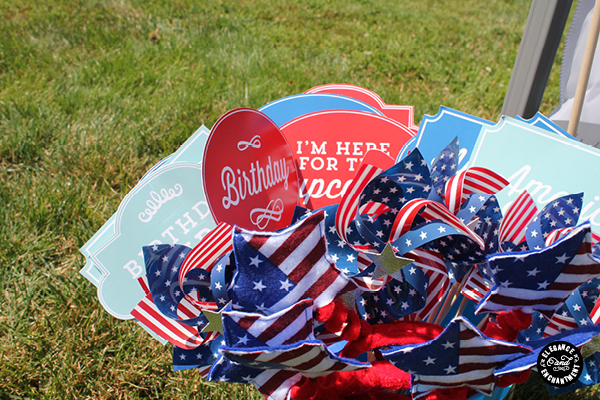 Red White and Two Birthday Party