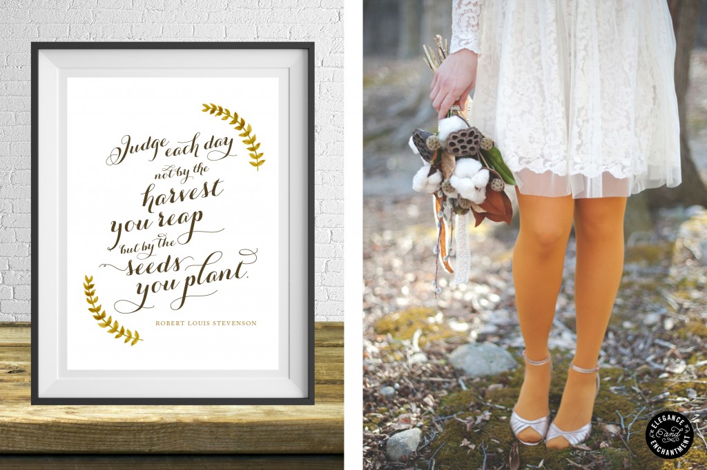 Elegance and Enchantment Week 17 Features