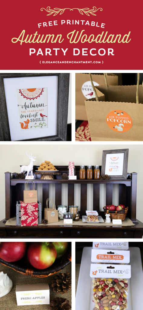 Everything you need to host a sweet, Autumn Woodland-themed birthday party or fall celebration. Free printables include stickers, a sign, tent cards and bag toppers— plus great ideas for food and drink stations. Designs by Elegance & Enchantment.