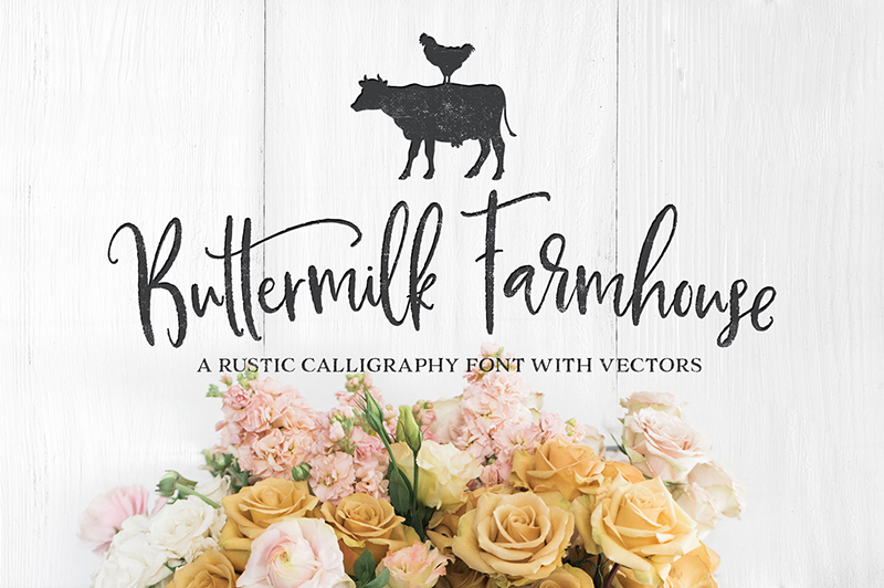 Searching for the perfect feminine font for your brand identity? Here's a roundup of twenty fabulous typefaces. // From Elegance and Enchantment